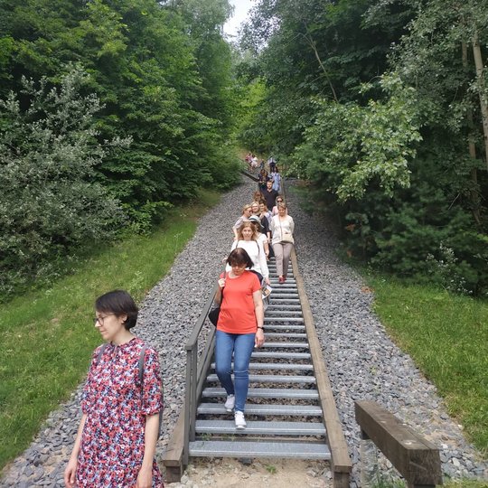 Ekskursijos dalyviai laiptais nulipa nuo Bekešo kalno. 