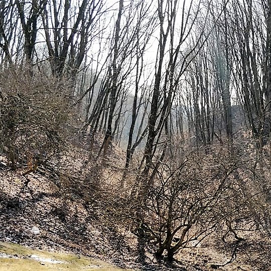 Žmonės kopia Didžiąja Griova. Ankstyvas pavasaris.