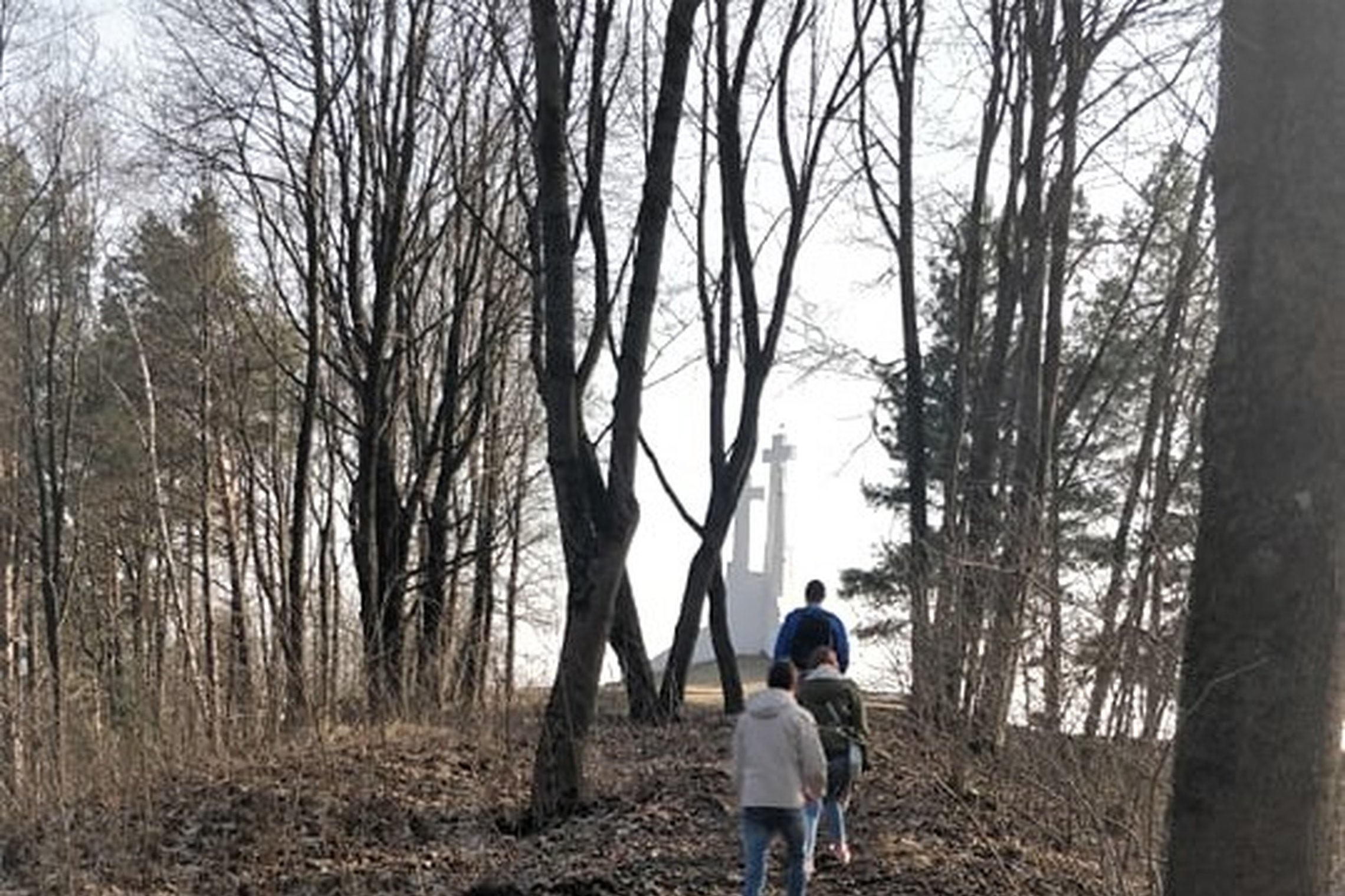 Studentai lipa link Trijų Kryžių paminklo. Tolumoje matosi pats paminklas.