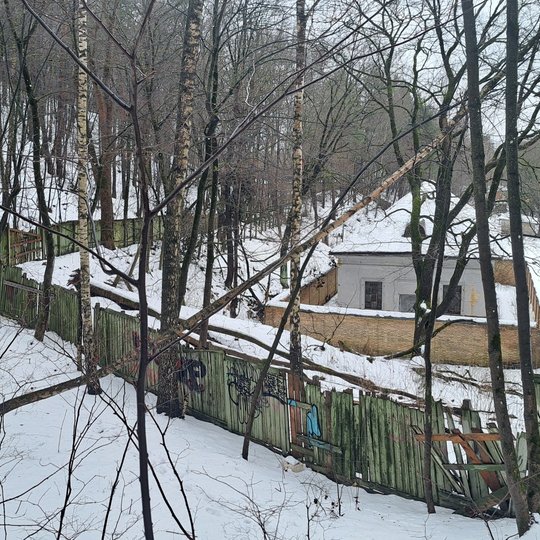 Nuvirtęs medis prie Policijos mokyklos šaudyklos tvoros. Ruošiamasi medžio šalinimo darbams.