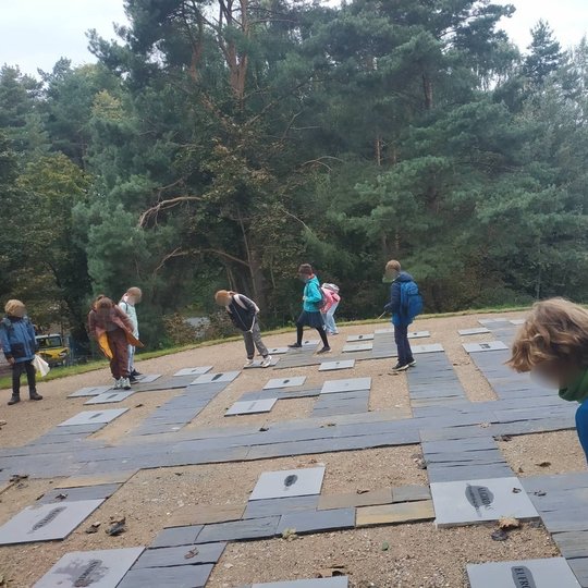 Ketvirtokai ant Karigailos kalvos, studijuoja Gediminaičių ginekologinį medį.