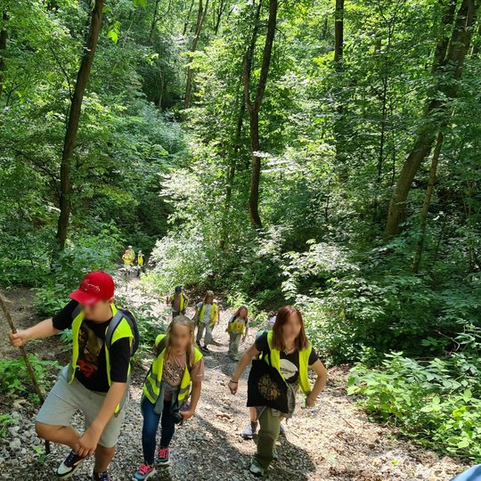 Kopti į Stalo kalną Didžiosios griovos šlaitais - nejuokas net patiems jauniausiems.