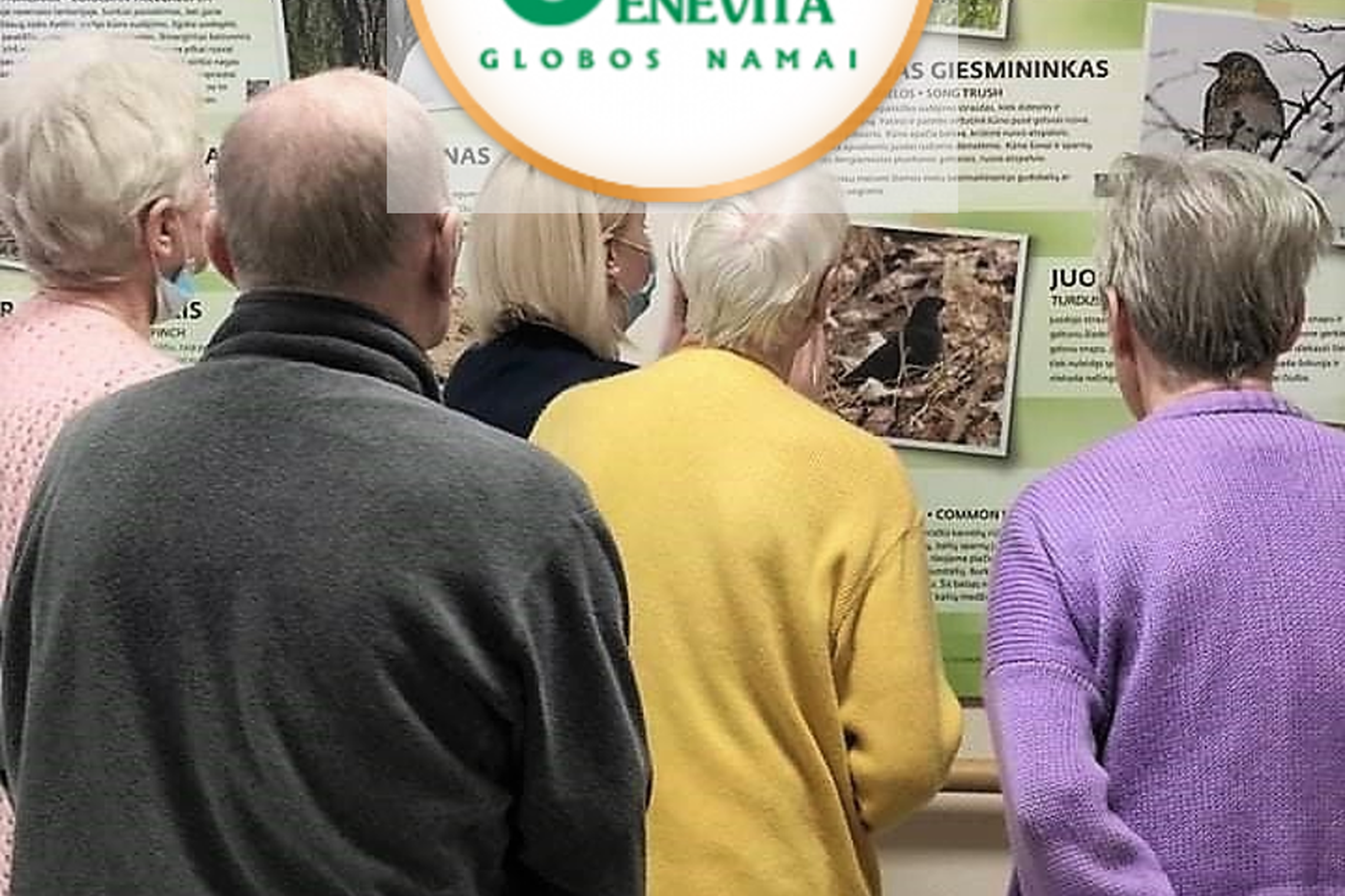 Senjorai žiūri į kilnojamą parodą apie rezervato paukščius. Nuotraukos priekyje „Senevita“ logotipas.