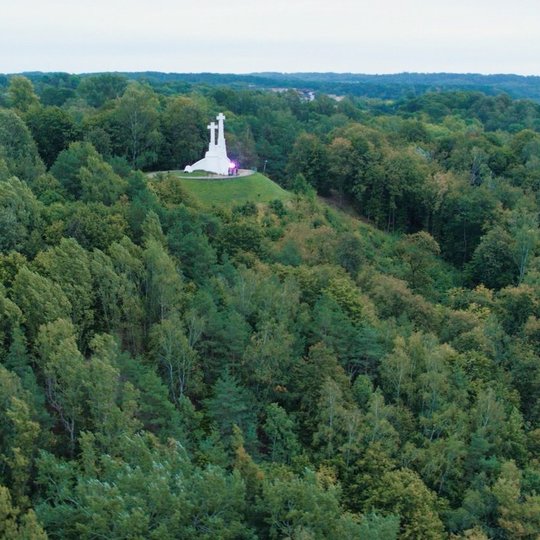 Trijų Kryžių kalva. Matosi Trijų Kryžių paminklas ir aplink gausus medžiai. 