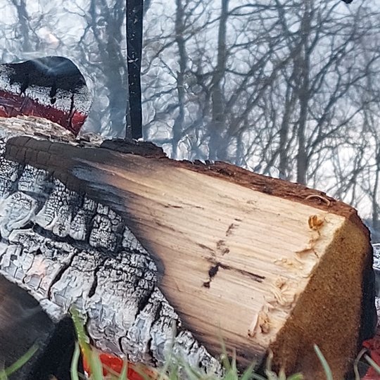 Degančios malkos.