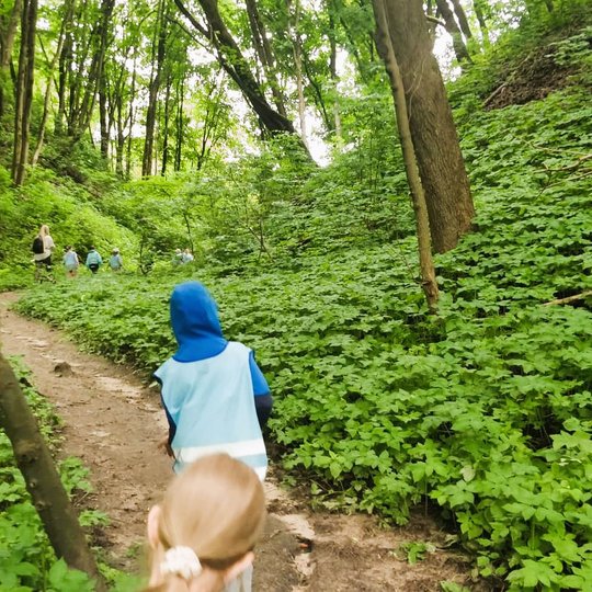 Vaikai su mėlynomis  atšvaitinėmis liemenėmis eina apžėlusią Didžiąją Griova. 