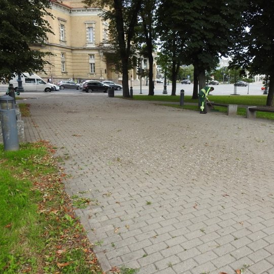 Akivaizdžiai paukščių apterštas takas, priešais karaliaus Mindaugo paminklą.
