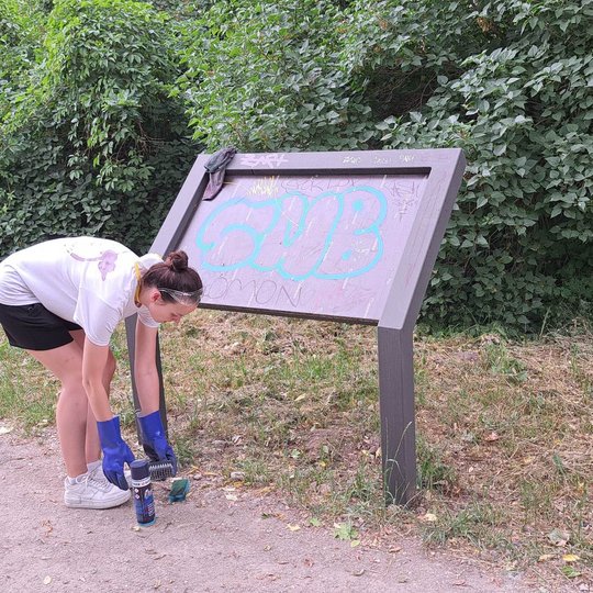 Savanorė ruošiasi valyti stendą ant Altanos kalno.