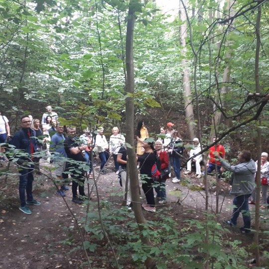 Pasivaikščiojimas tęsėsi miškinguose takeliuose, ten, kur kadaise buvo Kreivosios pilies teritorija.