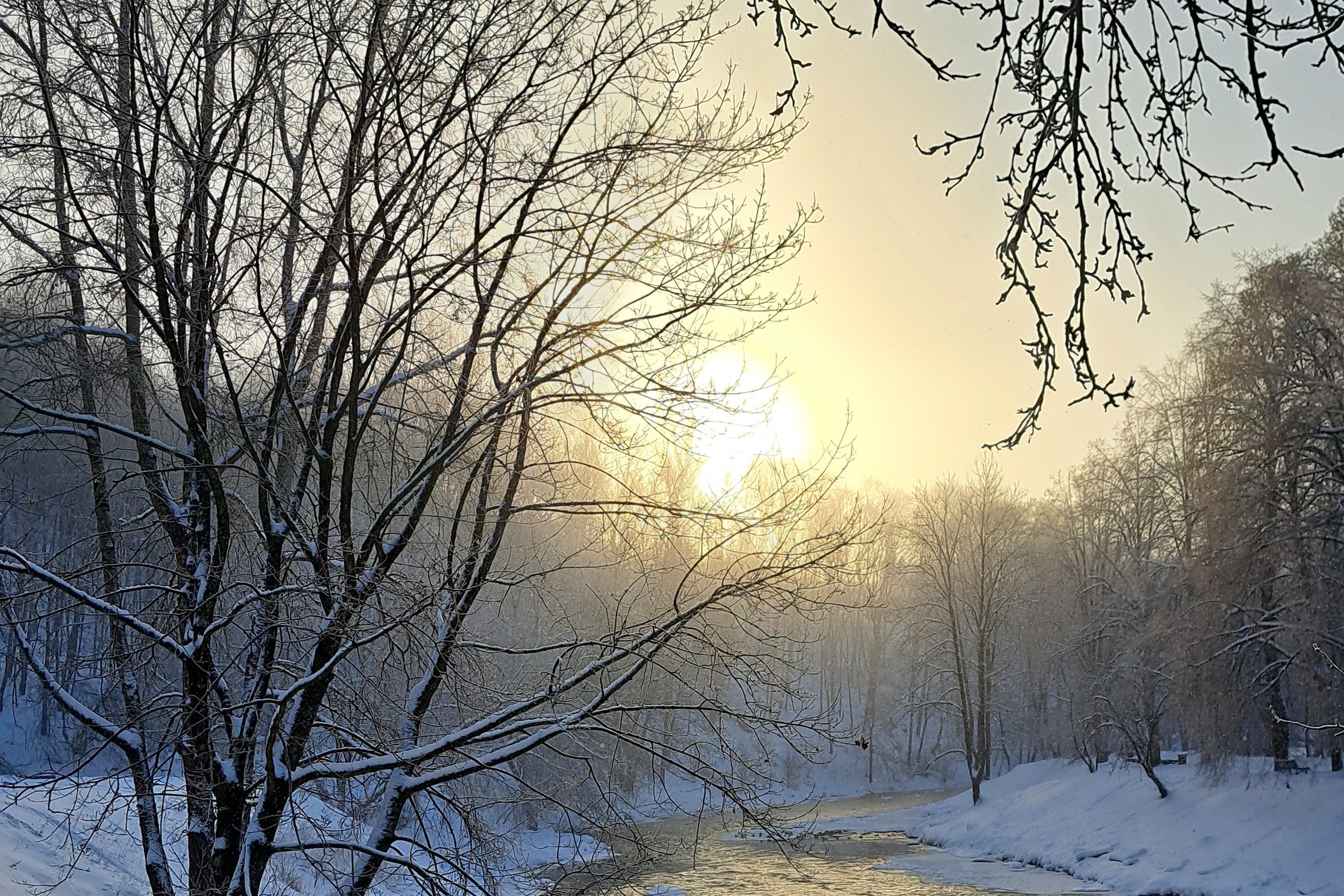 Ankstyvą rytą apšalusioje Vilnios upėje atsispindi saulė.
