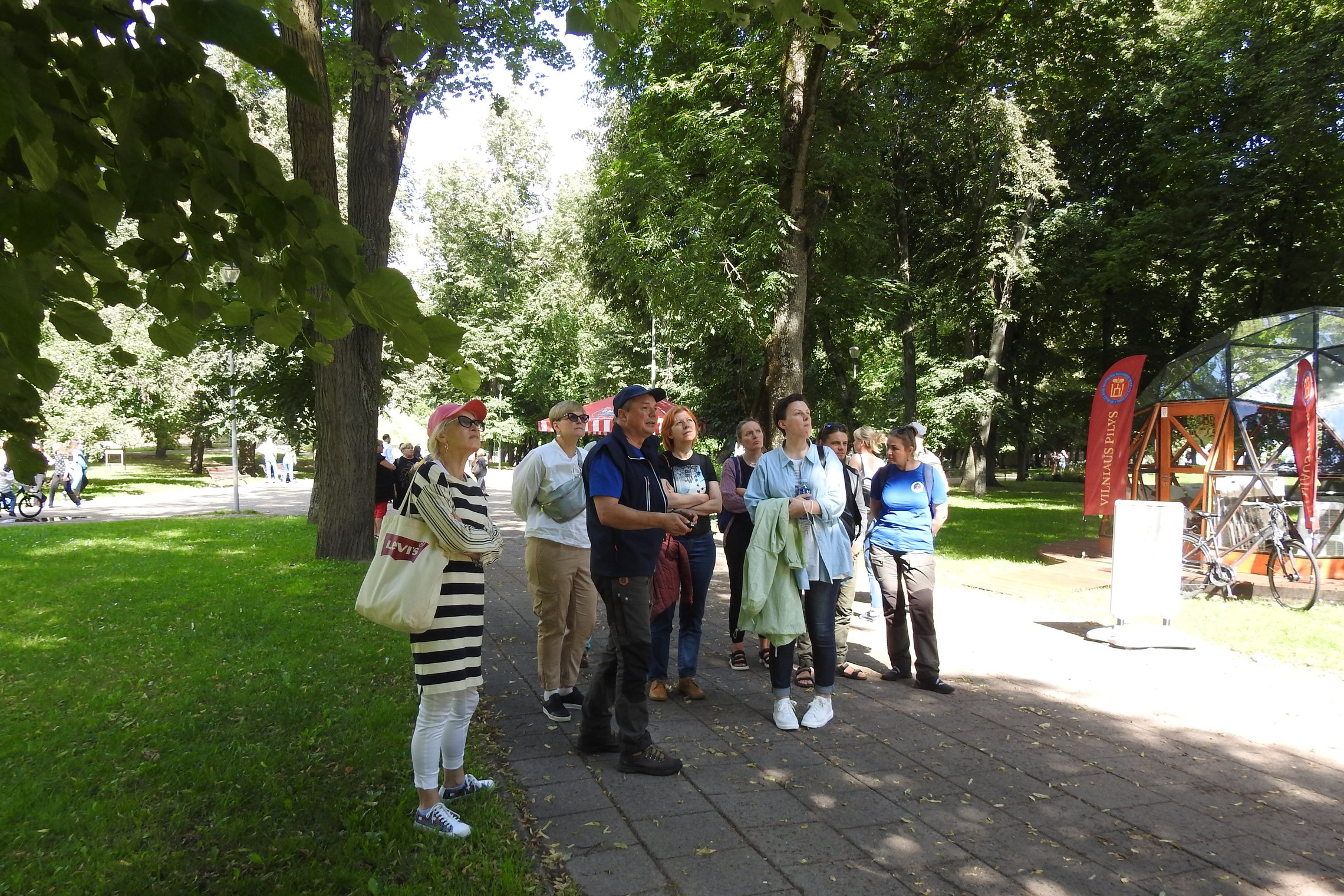 Arboristas Renaldas Žilinskas veda ekskursiją. 