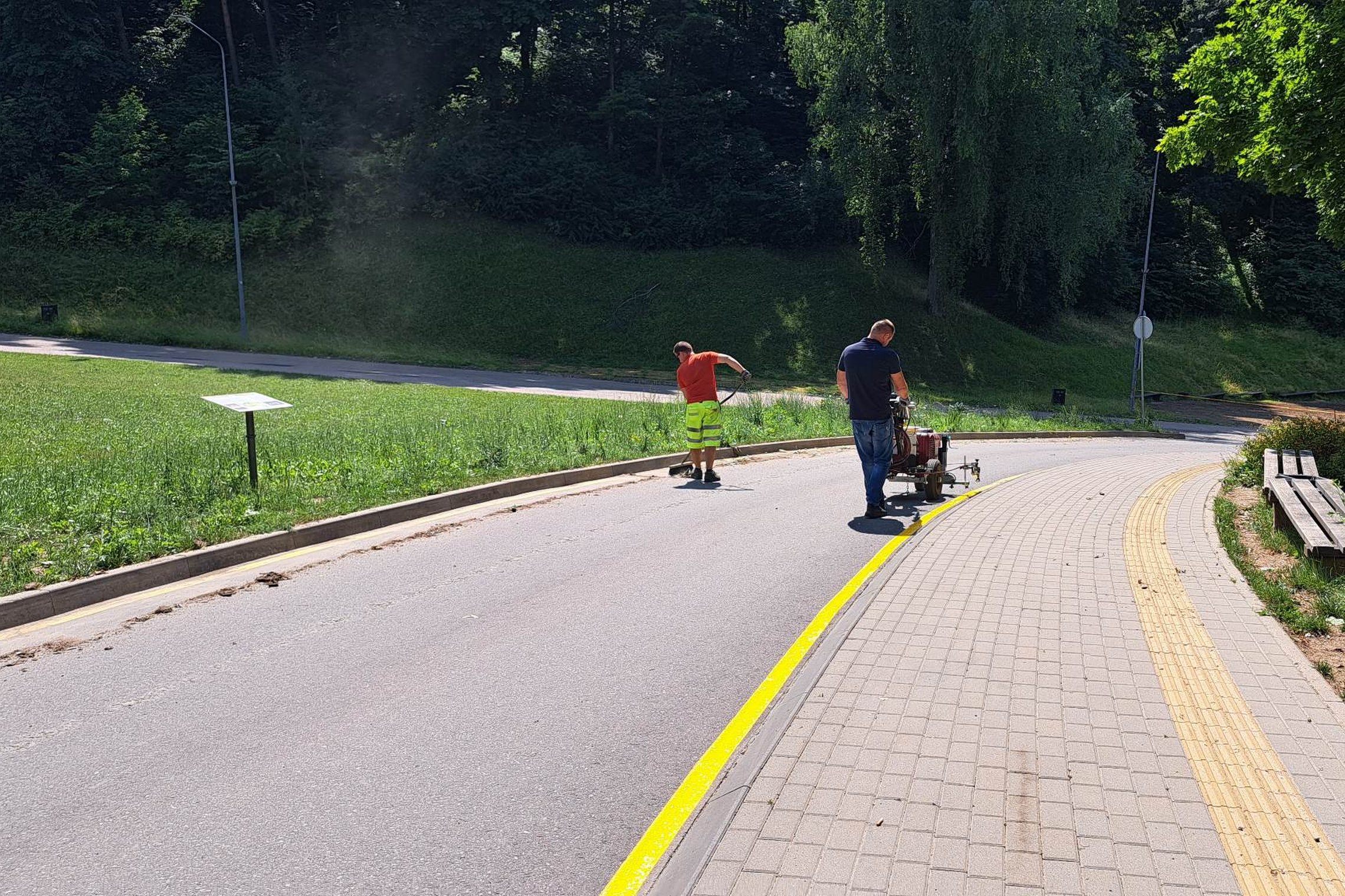 Ryškinamas horizontalusis kelio žymėjimas geltona spalva Dainų slėnyje prie estrados.