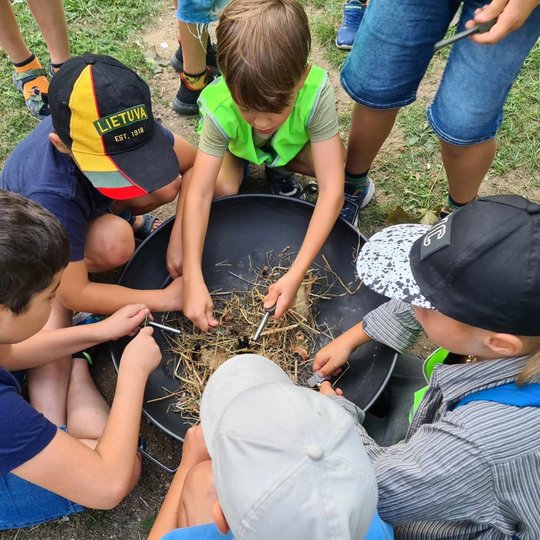 Visiems kartu įkurti vieną bendrą laužą kur kas paprasčiau.