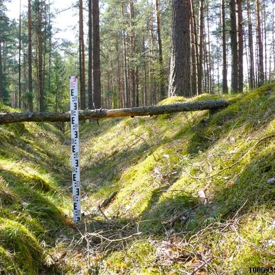 Melno taikos sutartimi nustatytos LDK valstybinės sienos išlikusi atkarpa, Miškingoje aplinkoje iškastas griovys.
