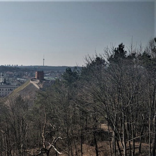 Vilniaus panorama nuo Trijų Kryžių kalno. Matosi Gedimino kalnas, medžiai dar be lapų.