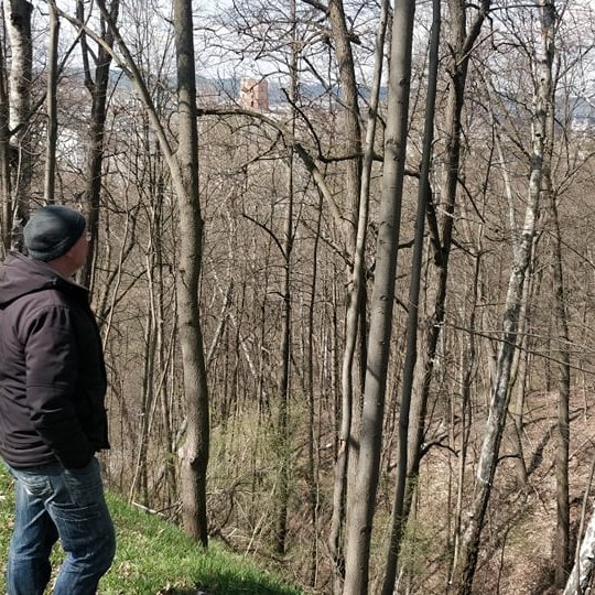 Iliustracija