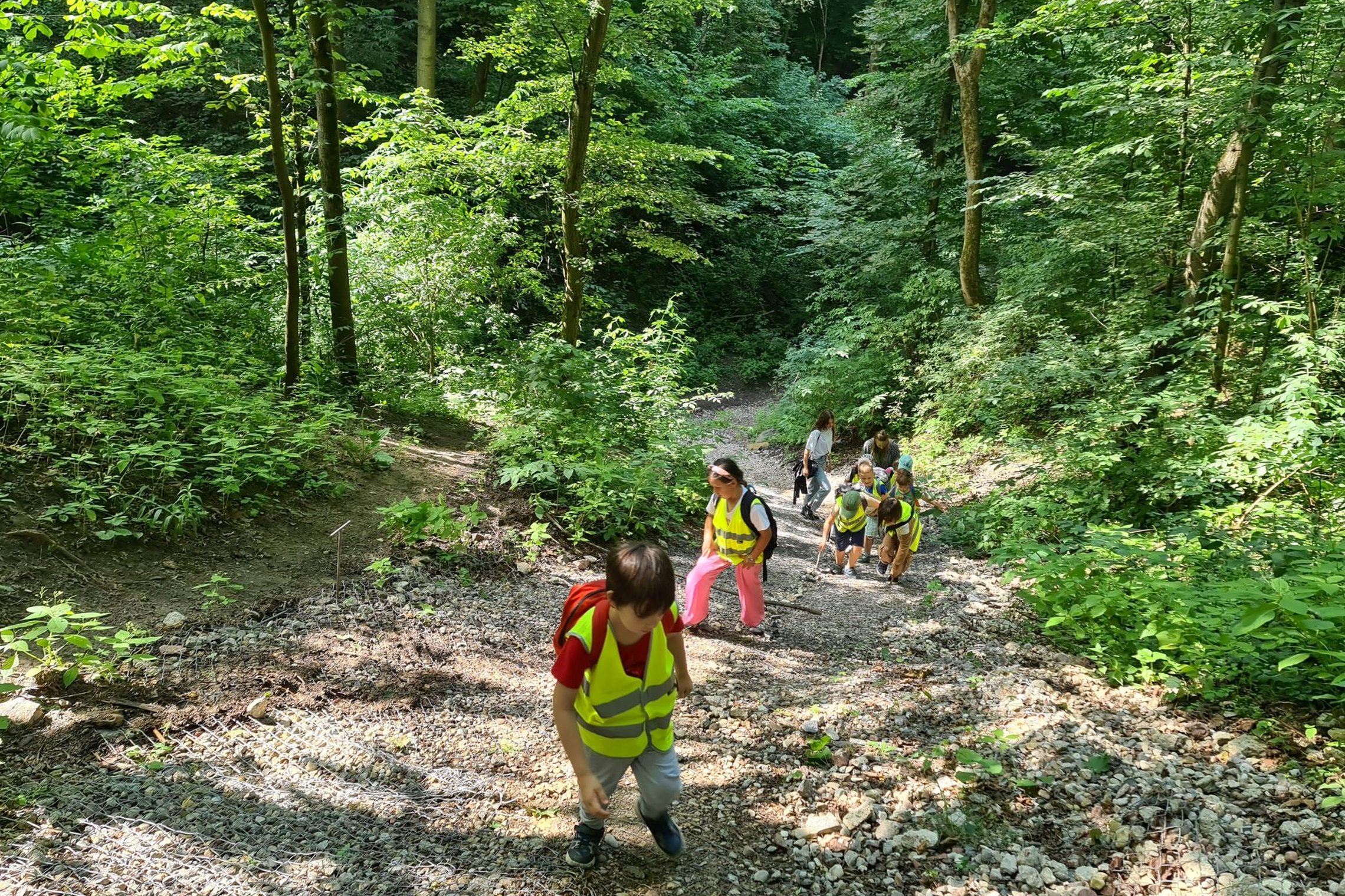 Vaikai, nors nedrąsiai, kopia per Didžiąją griovą į Kalnų parką.