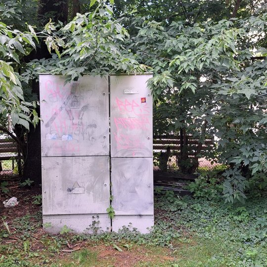 Naujai išterliota elektros skydinė Pilių parke, prie Strange Love kavinės kiemo.