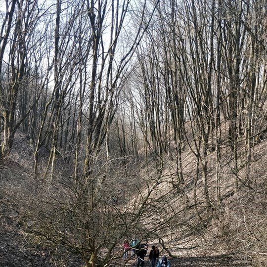 Penktokai kopia Didžiąją Griova.