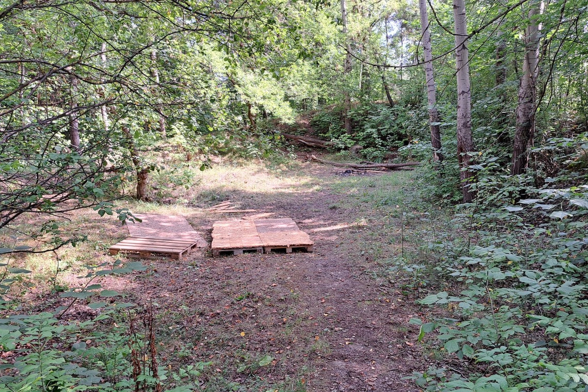 Besimėtančios paletės ir baldų atliekos ant Užupio kalno.