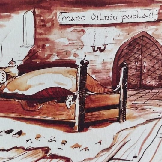 Paveikslėlis, kuriame pavaizduota mergina gulinti lovoje, pilyje. 