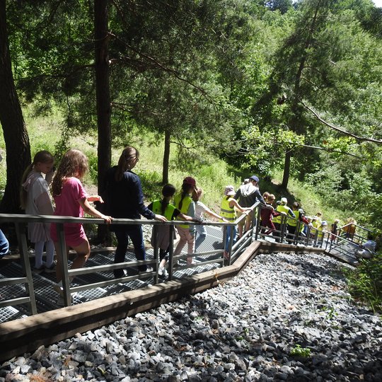 Vaikai laiptais nulipa nuo Bekešo kalno. 