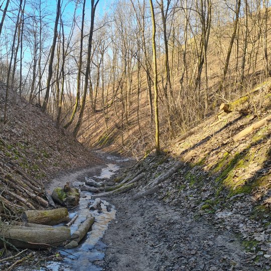 Didžioje Griovoje susidarės ledinis upeliukas. 