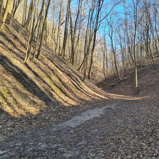 Didžioji Griova ankstyvą pavasarį.