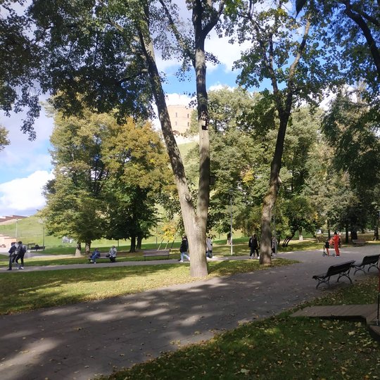 Vilniaus pilių kupolas iš lauko. Kairėje matosi Gedimino kalnas.