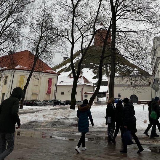 Mokiniai Mindaugo skvere, prie Valdovų rūmų ir Gedimino pilies bokšto.