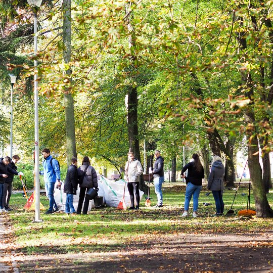 Nuotraukoje matoma didžiulė grupė žmonių, stovinčių prie balto surinktų lapų maišo. Kai kurie grupėje esantys žmonės laiko rankose grieblius. Dauguma stoviniuoja, kai kurie užsiima griebimu. Aplinkui juos yra prikritusių įvairių spalvų lapų, o medžiai tai