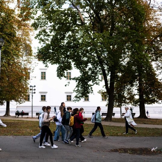 Iliustracija