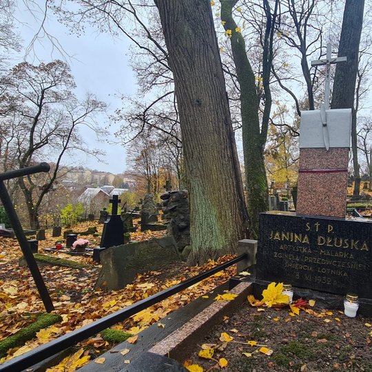 Nuotraukos pagrindiniame plane matomas kapas, kuriame palaidota Janina Dluska. Akmeninis antkapis atrodo ganėtinai naujas, po vardu tekstas lenkų kalba. Antkapio viršutinėje dalyje pririšta Lenkijos vėliavos juostelė, o virš jos - metalinė apdaila primena