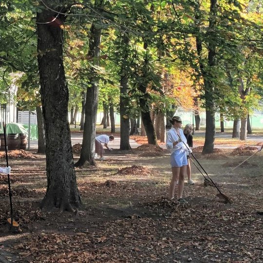 Keletas žmonių grėbia nukritusius rudens lapus parke tarp medžių. Saulėta diena, aplink matyti medžių šešėliai ir krūvos surinktų lapų. Dalyviai vilki laisvalaikio drabužiais, dėvi apsaugines pirštines ir naudoja sodo įrankius. Tai atrodo kaip bendruomeni