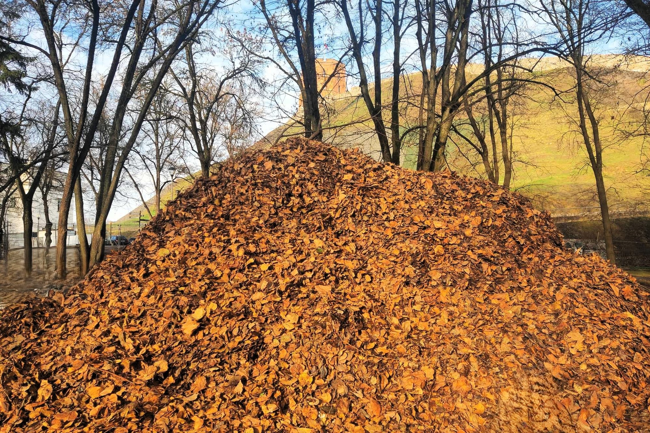 Nuotraukoje matome Vilniaus pilių parke esančią milžinišką krūvą sugrėbtų lapų. Už jų galime pamatyti jau plikus medžius ir Gedimino kalno piliakalnį bei patį Gedimino bokštą.