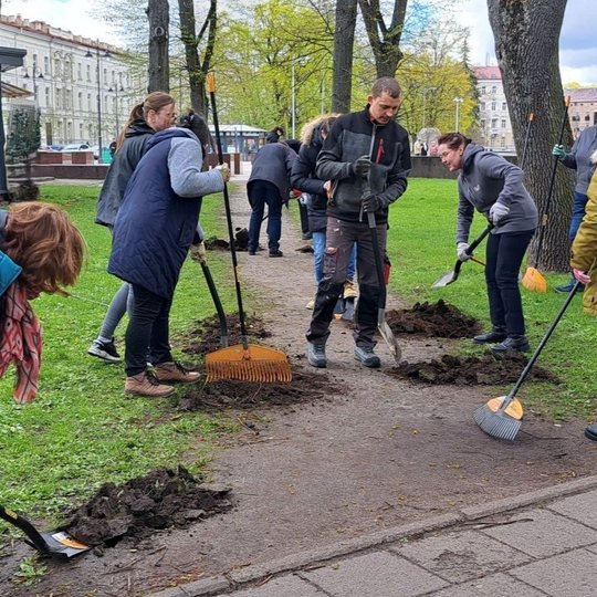 Grupė žmonių dalyvauja talkoje miesto centre – jie kasa, grėbia ir šluoja žemę palei taką tarp medžių. Visi dėvi pirštines, naudoja darbo įrankius: kastuvus, grėblius, šluotas. Fone matyti paminklas Gediminui, miesto pastatai ir žalios vejos. Aplinka prim