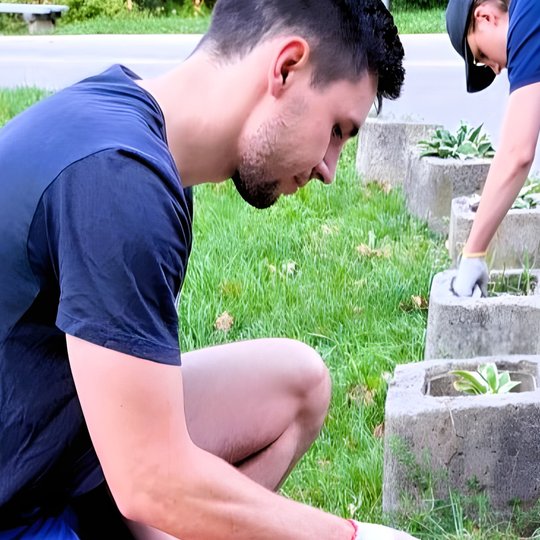 Du savanoriai kruopščiai ravėja ir prižiūri dekoratyvinius augalus, augančius betoninėse gėlinėse prie šaligatvio. Veiksmas vyksta žalioje miesto erdvėje – matyti veja, šaligatvis ir kelio atkarpa. Darbuotojai dėvi pirštines, susikaupę ir atsidavę aplinko