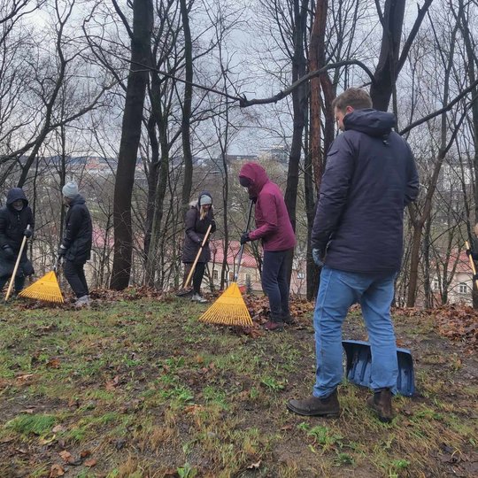 Nuotraukoje septyni žmonės grėbia nukritusius lapus ant kalvos, apsuptos juos numetusių medžių. Visi yra šiltai apsirengę, vilki striukes, dėvi kepures ir pirštines. Fone yra pastatai su raudonais stogais, o dangus yra apsiniaukęs.
