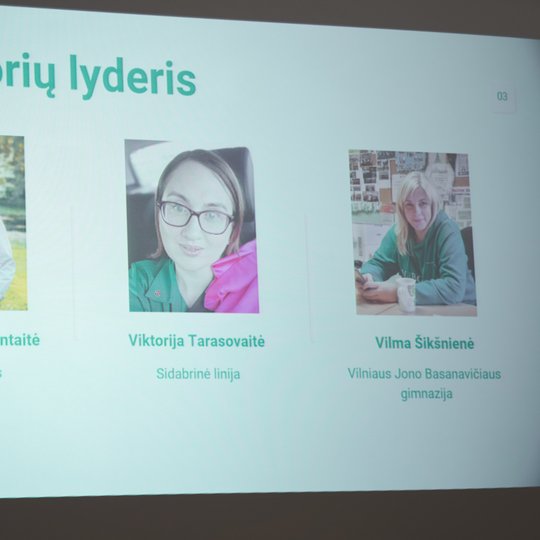 Tai skaidrės nuotrauka, kurioje vaizduojamos trijų moterų fotografijos, o po jomis parašyti moterų vardai bei pavadinimas organizacijų, kuriose šios moterys yra savanorių lyderės. Pirmoji moteris dėvi šviesius marškinius ir stovi gamtos fone, antroji sėdi