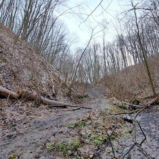 Atitvertas praėjimas Didžiojoje griovoje.