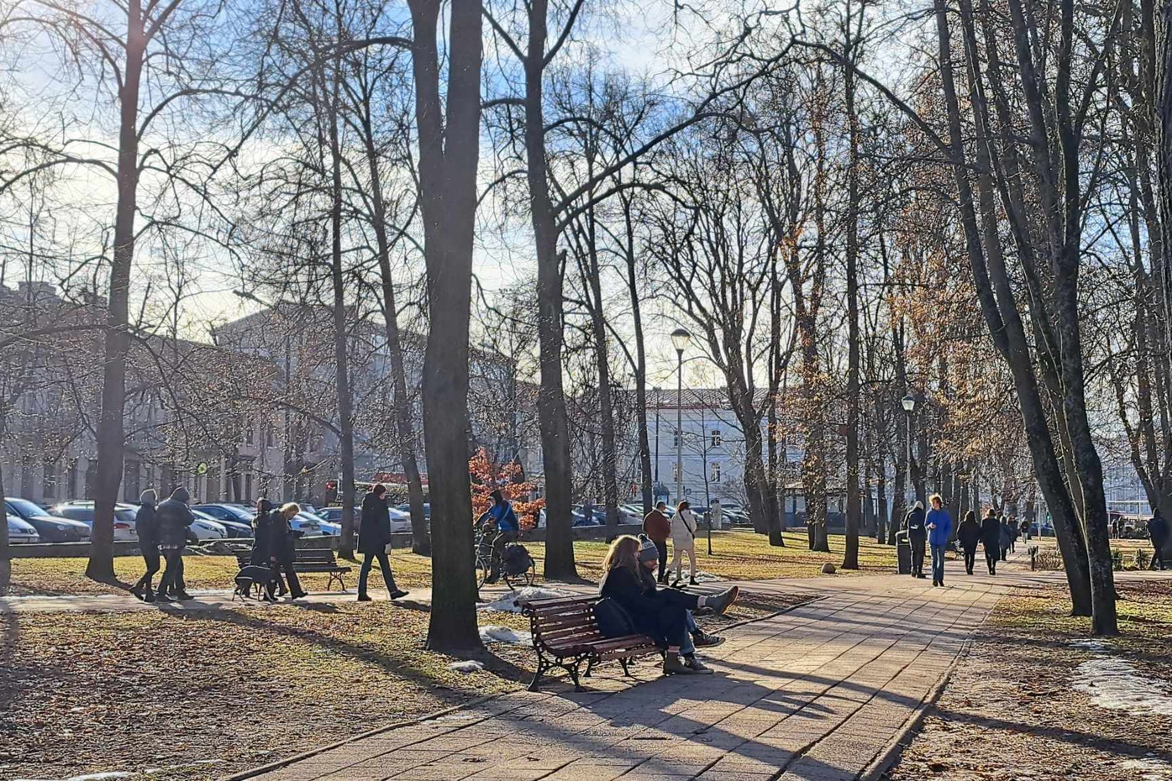 Ant atnaujintų lauko suolų jau saule mėgaujasi pirmieji parko lankytojai.