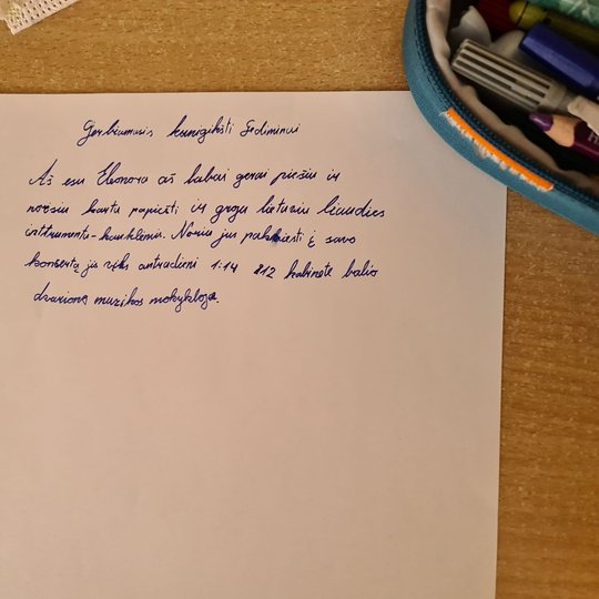 Mergaitės laiškas Gediminui su prisistatymu.