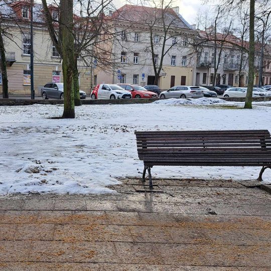 Meistrai taip pat sutvarkys trumpuosius Pilių parko suolus, kurie turi defektų. Nuotraukoje lauko suolas stovi ant iškrypusių tako plytelių.