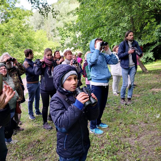 Kad galėtum stebėti paukščius jų neišgąsdintam, reikia būti kantriam. Grupelė smalsuolių buvo itin kantri ir vieninga.