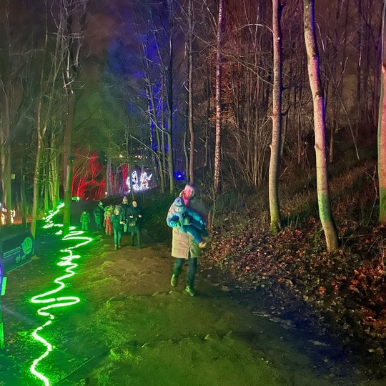 Žmonės eina Lumina parko taku Kalnų parke.