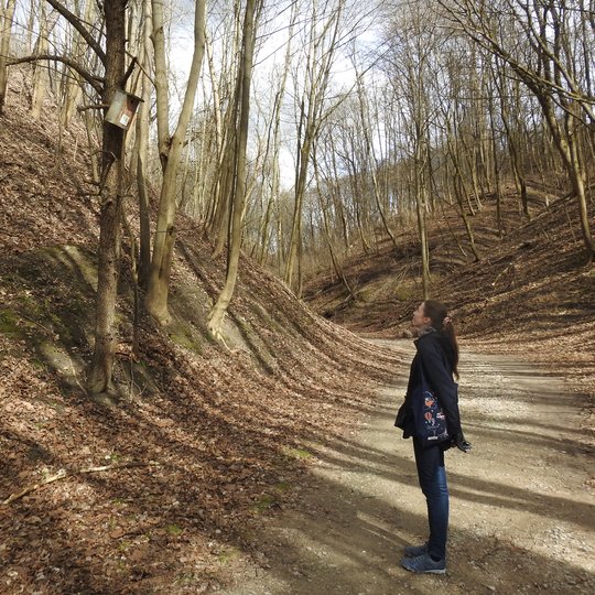 Viena iš ekskursijos dalyvių įtemptai žiūri į Didžiojoje griovoje esantį inkilėlį.