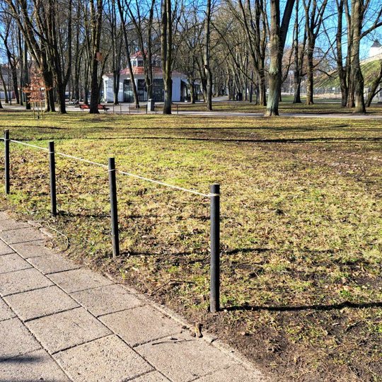 Pernai pavasarį sėtos vejos apsauga - juodi mediniai kuoliukai, apjuosti džiuto virve.