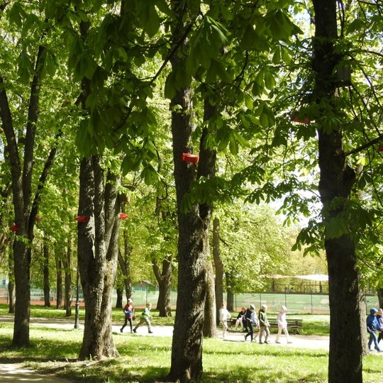 Tokių gaudyklių galima rasti kiekviename kaštone, esančiame Pilių parke.