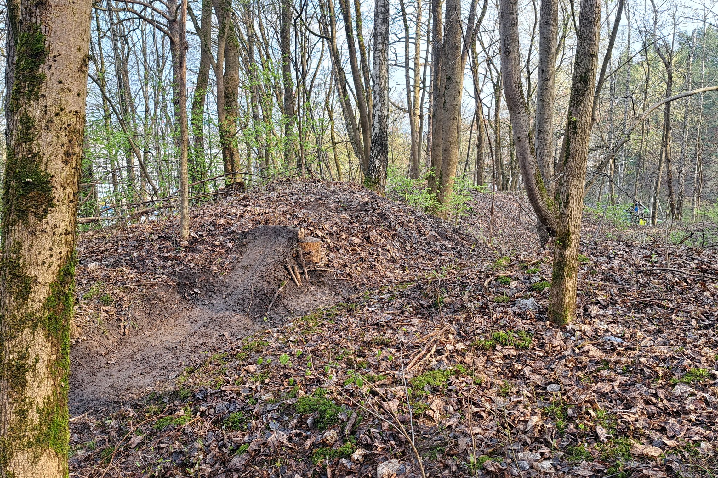 Dviratininkų savadarbė "rampa" Bevardžio kalno šlaite.