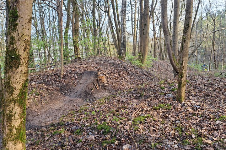Dviratininkų savadarbė "rampa" Bevardžio kalno šlaite.